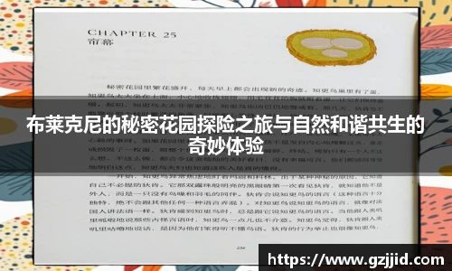 星空xk体育